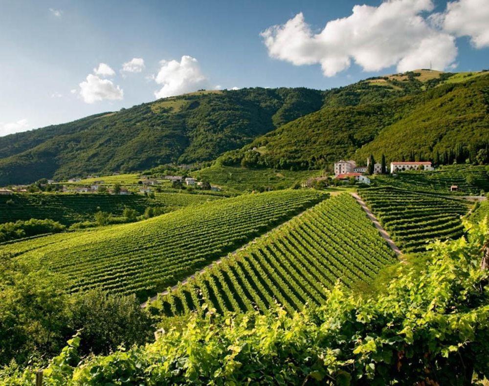 Follinetta10 - Enjoy Holiday Home In The Prosecco Hills Follina ภายนอก รูปภาพ